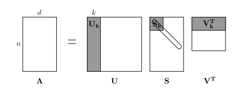 Picture of an SVD
